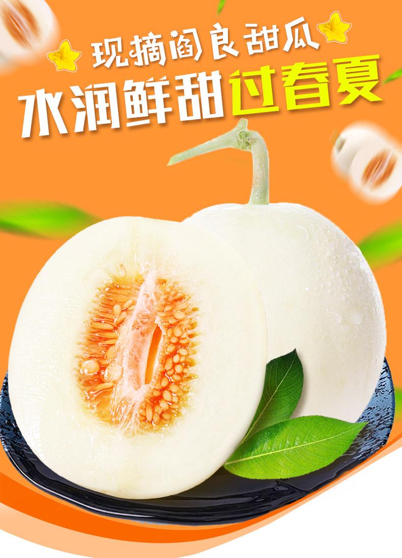 【现摘现发】陕西阎良香脆甜瓜5斤装黄皮香瓜 头茬脆梨甜瓜